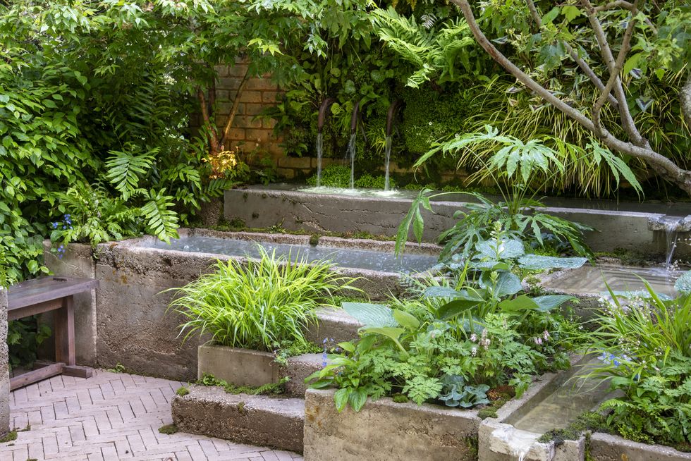 Home rhs chelsea flower show 2024 container gardens the ecotherapy garden designed by tom bannister 664c056849552